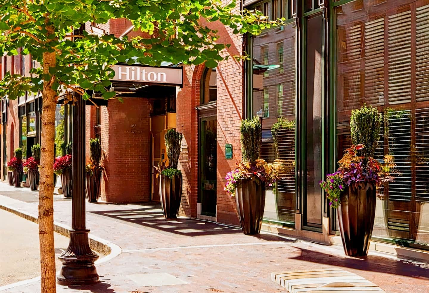 The Dagny Boston