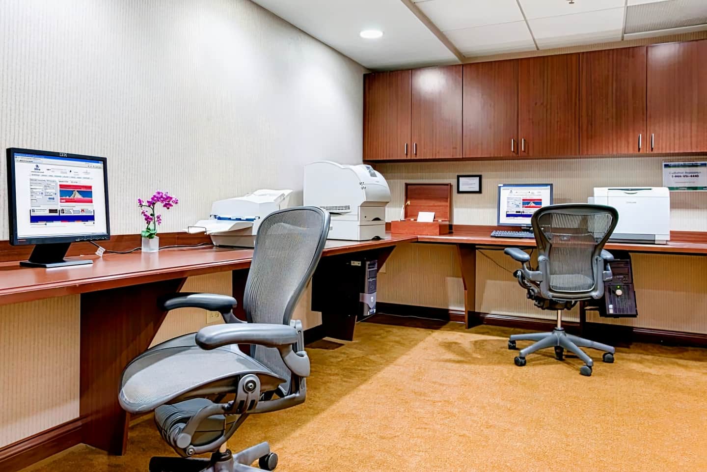 The Dagny Boston