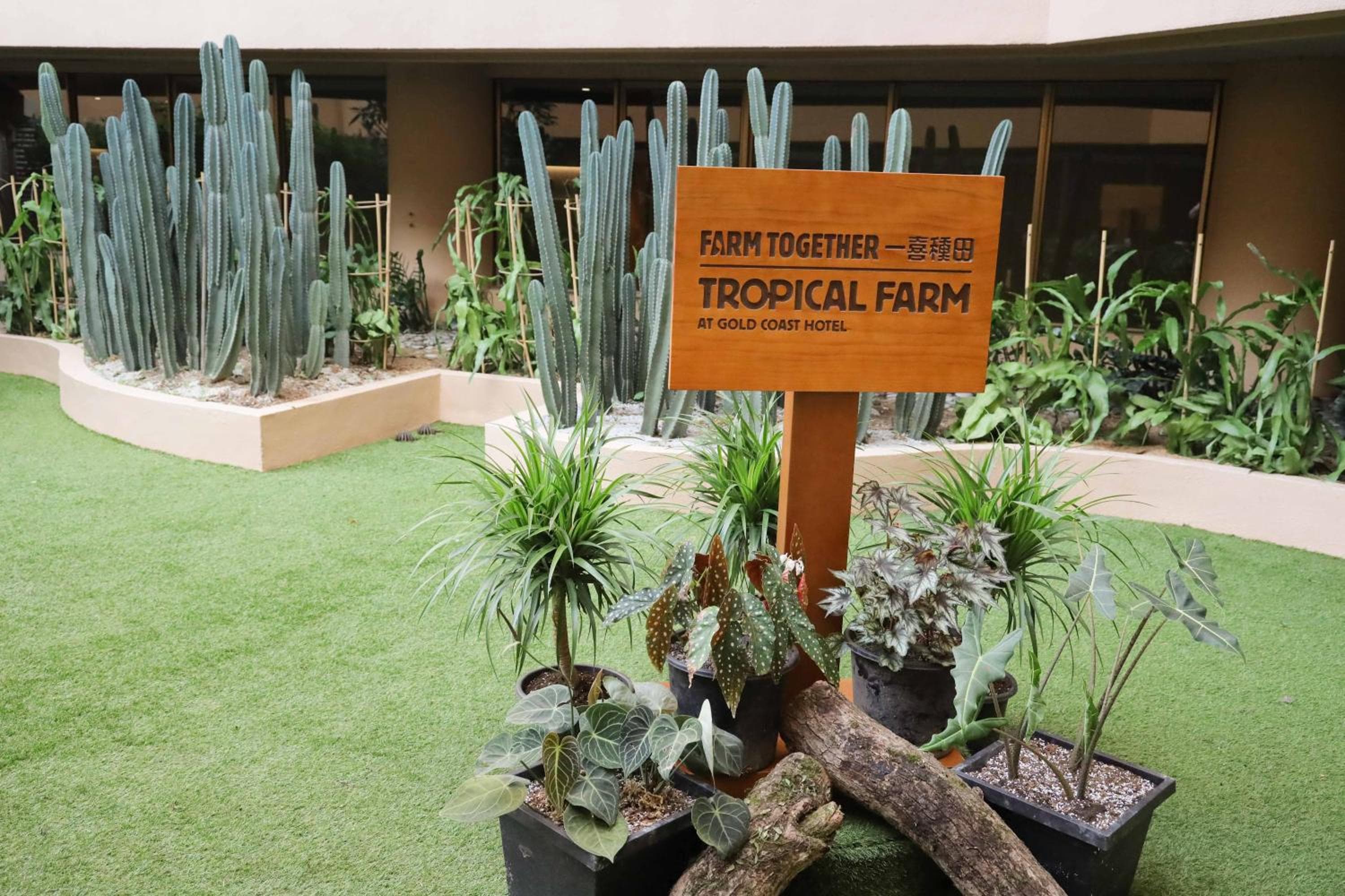 Hong Kong Gold Coast Hotel