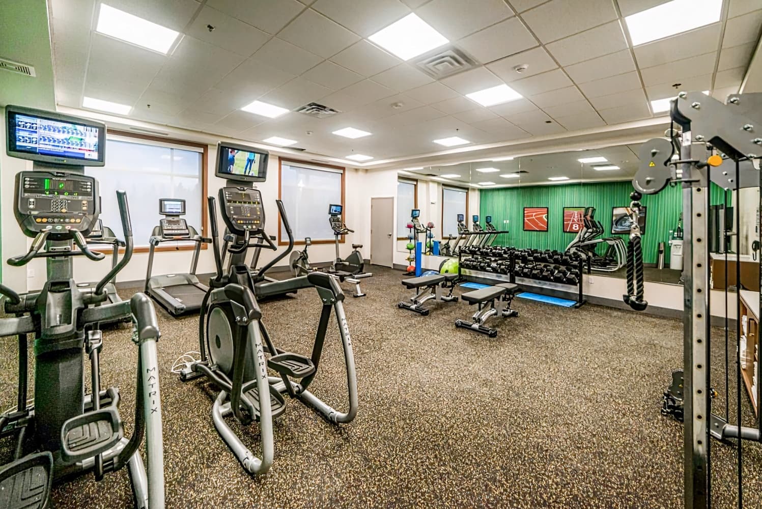 Holiday Inn Express West Edmonton