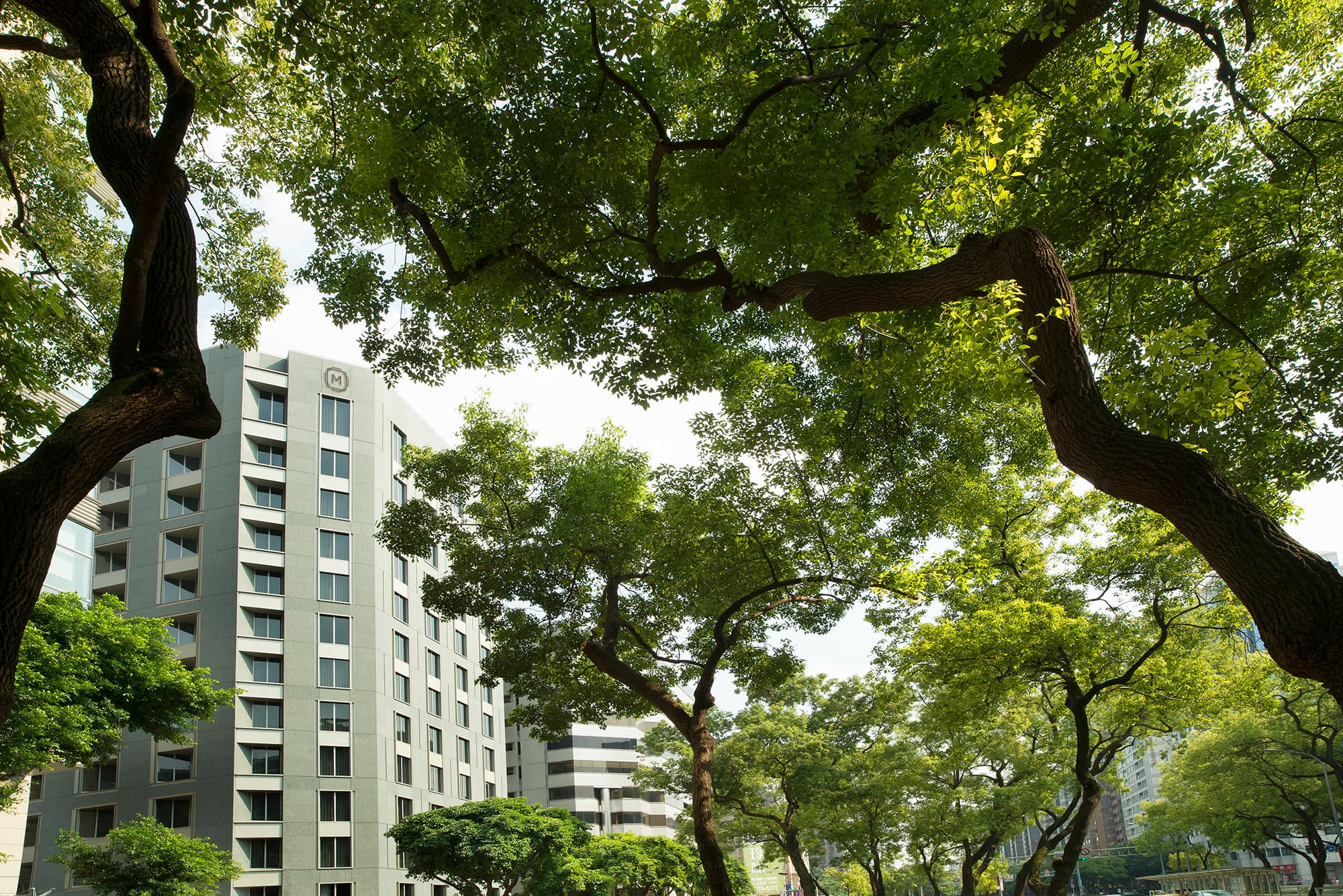 慕軒飯店 MADISON TAIPEI HOTEL