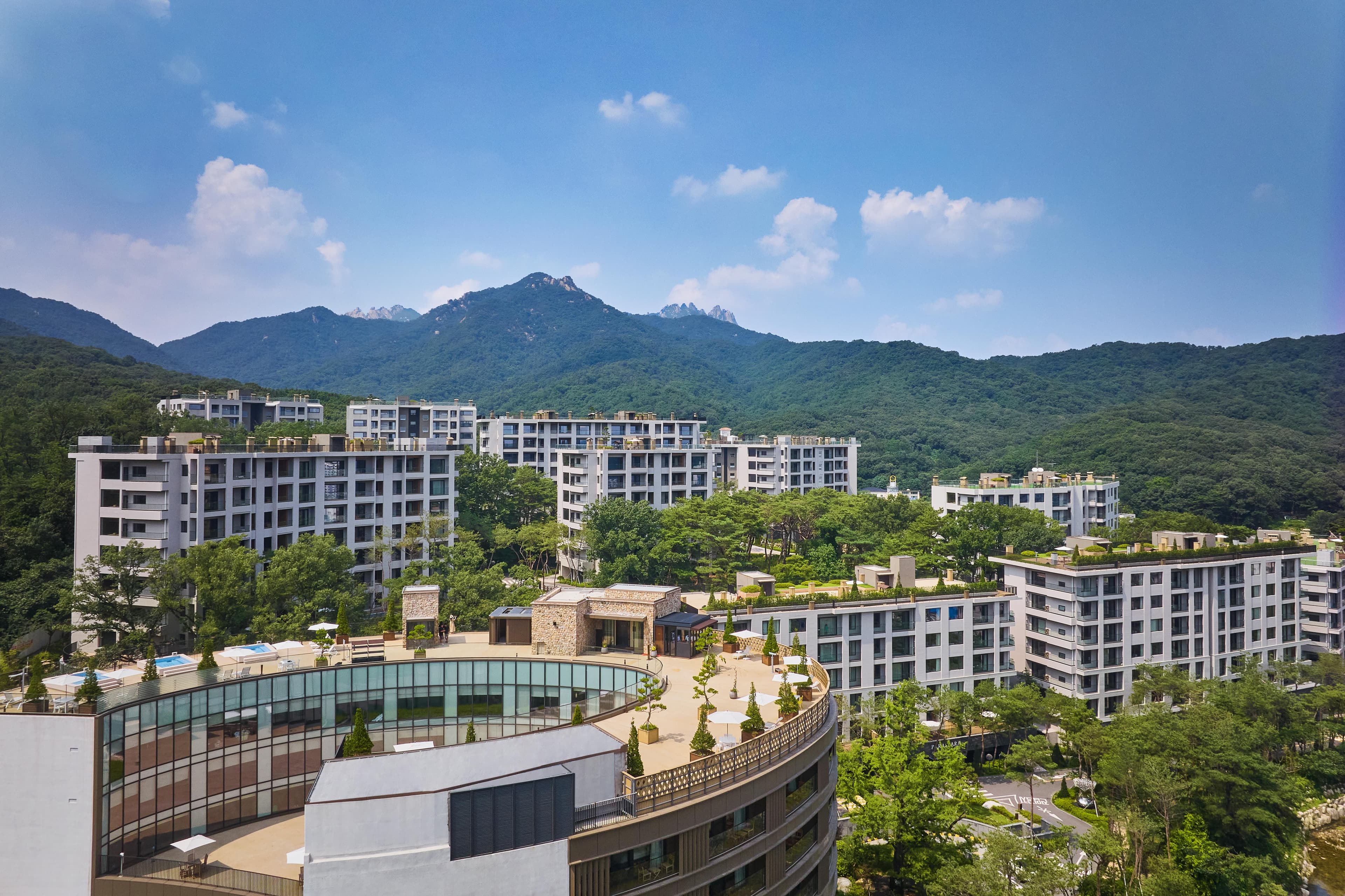 Paraspara Seoul 파라스파라 서울