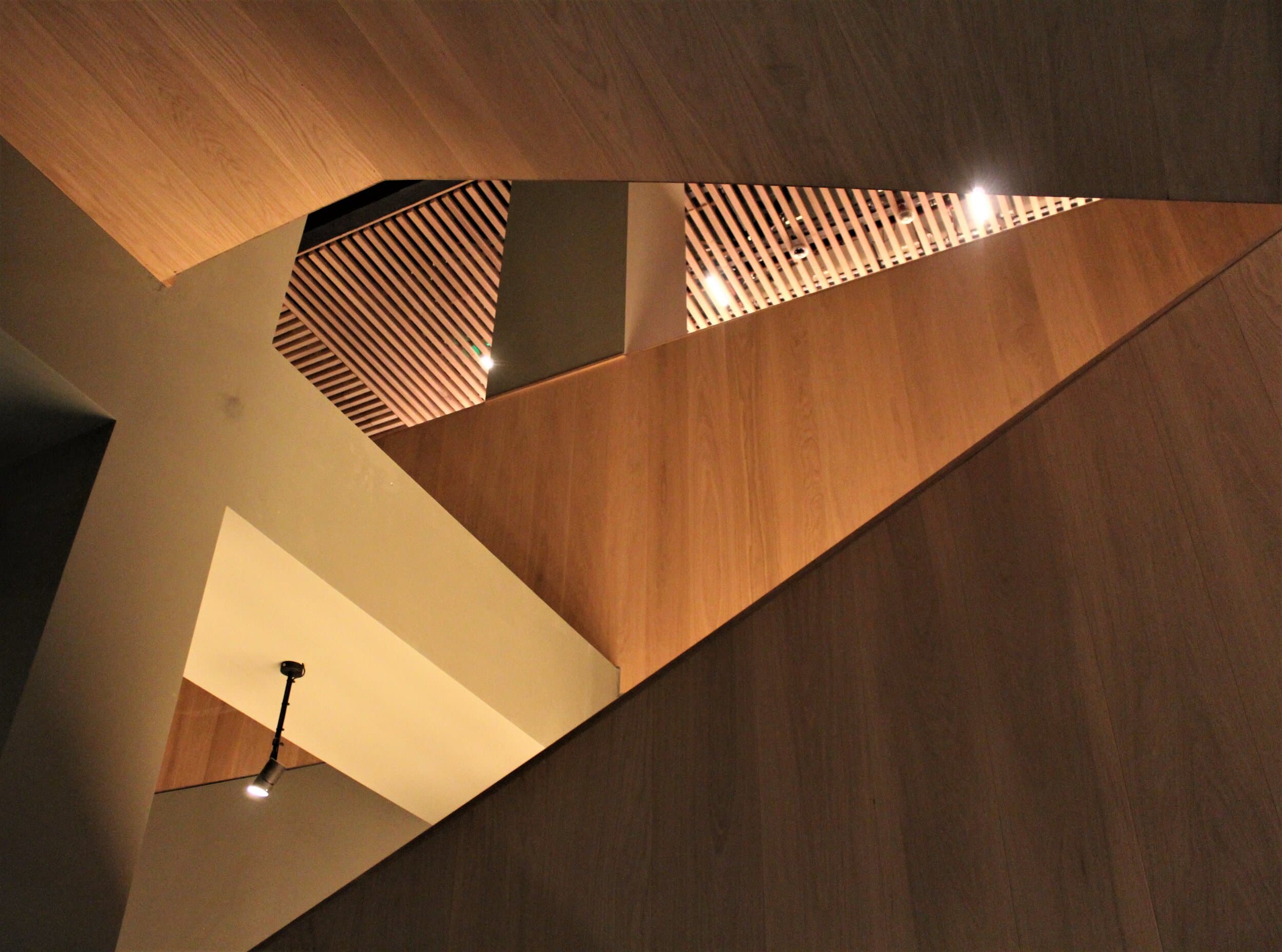 Zedwell Capsule Piccadilly Circus