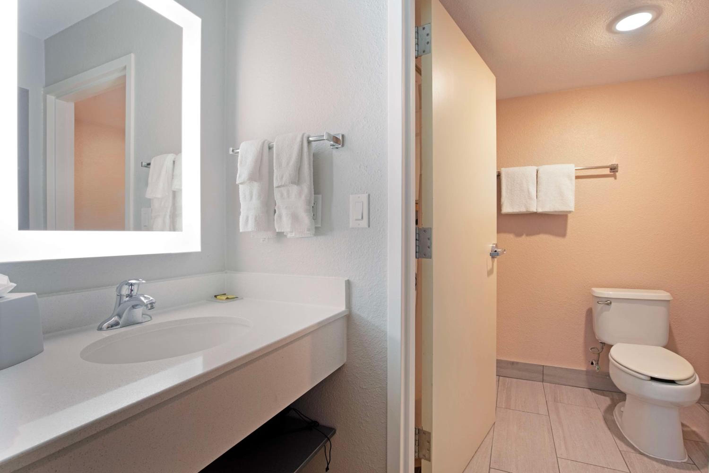 Best Western Plus Fort Worth North