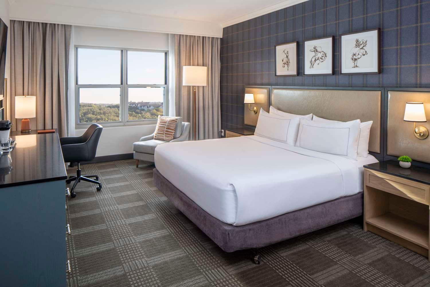 Hilton San Antonio Hill Country