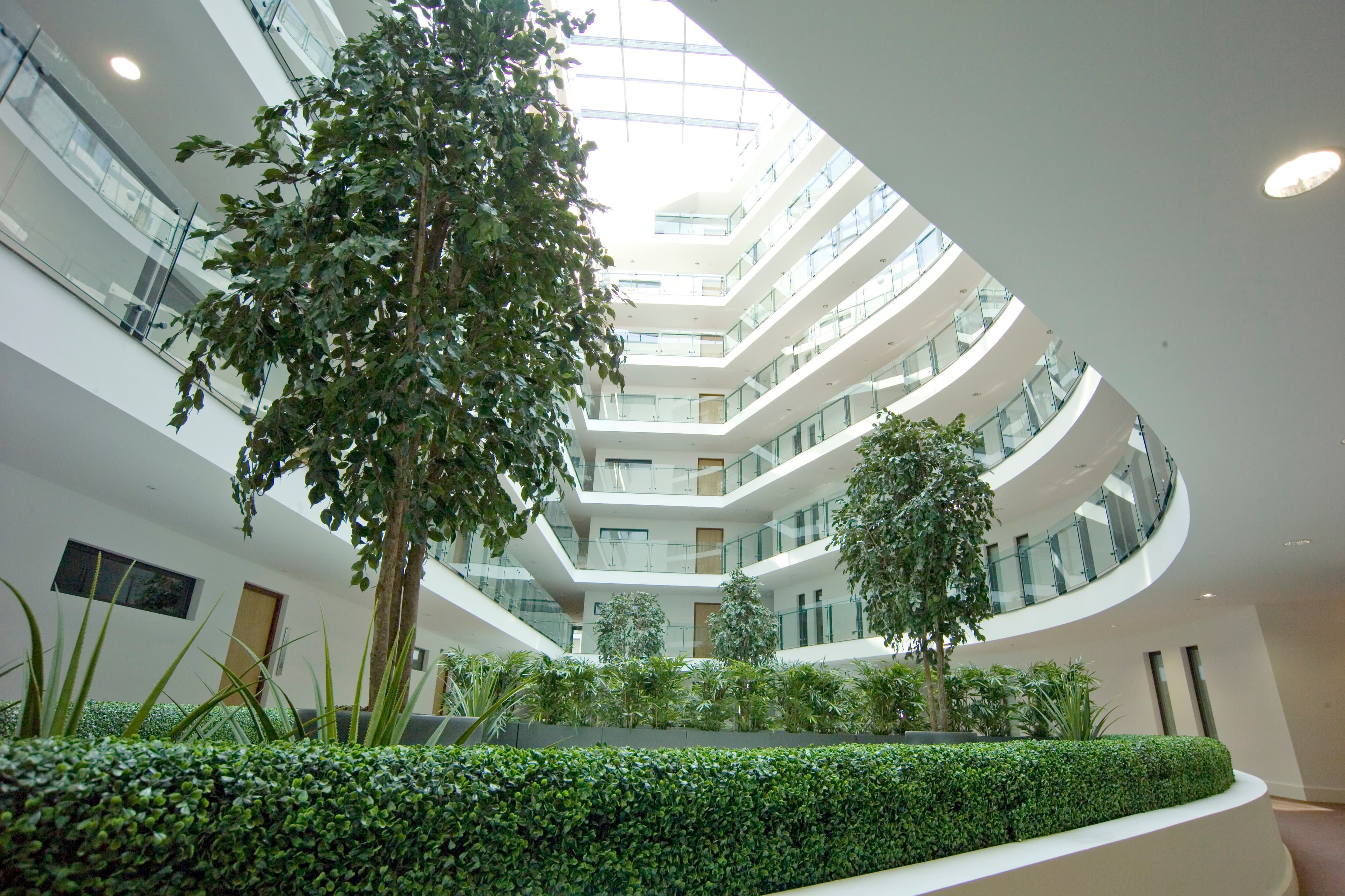 Blue Rainbow Aparthotels Central