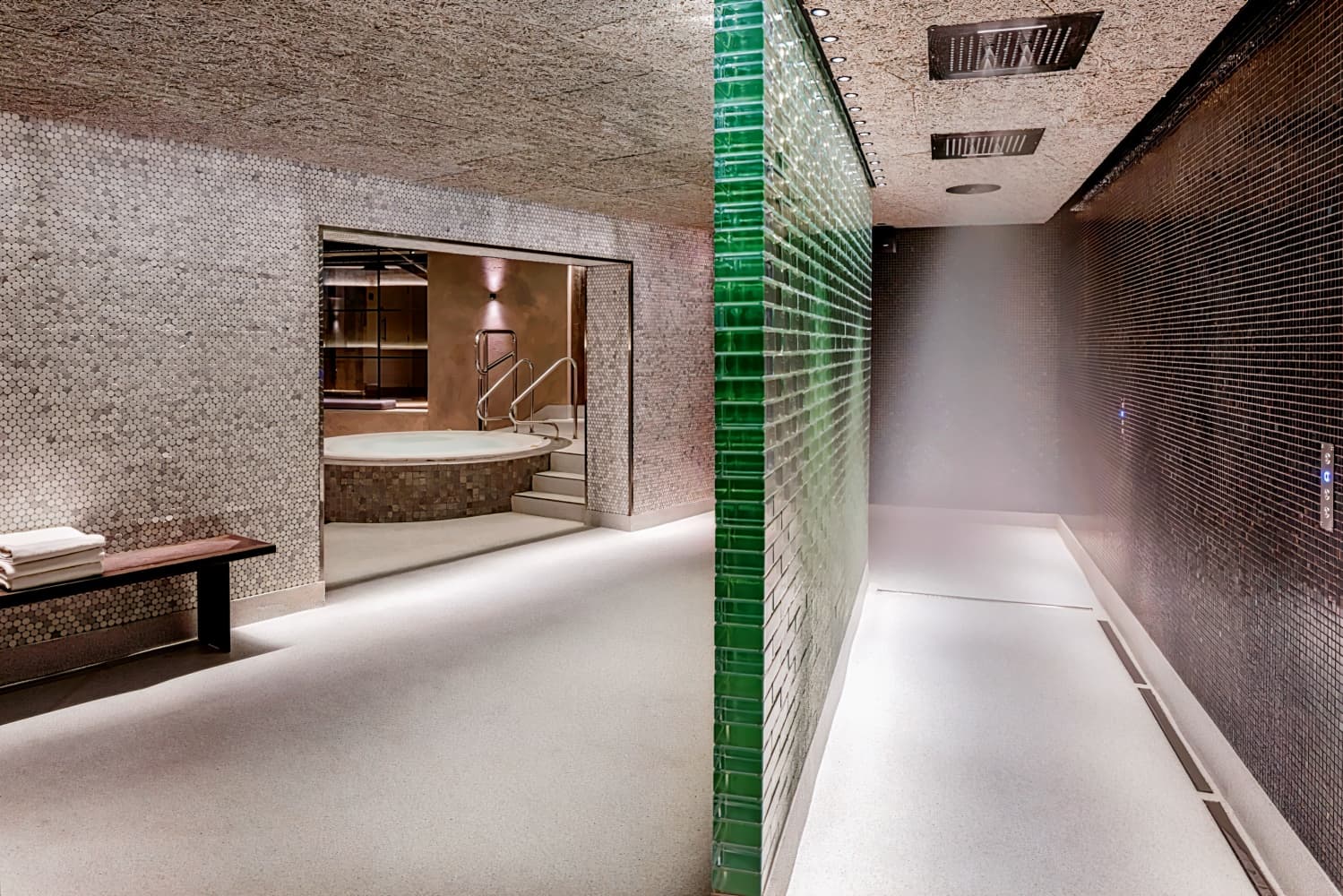 The Edwardian Manchester